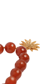 Camila Carnelian necklace
